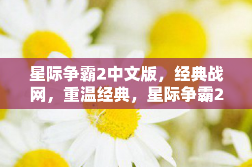 星际争霸2中文版,经典战网,重温经典,星际争霸2中文版,重温经典战网 星际争霸2中文版,经典战网,重温经典,星际争霸2中文版,重温经典战网