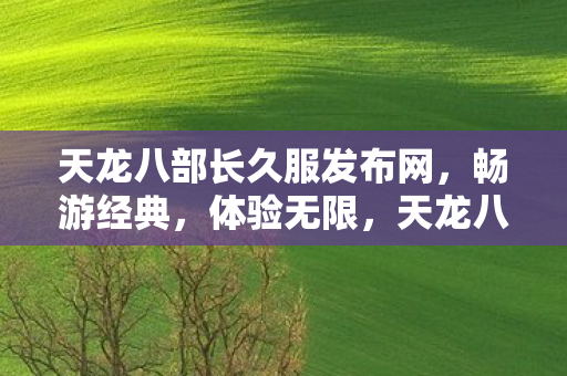 天龙八部长久服发布网,畅游经典,体验无限,天龙八部,畅游经典,体验无限 天龙八部长久服发布网,畅游经典,体验无限,天龙八部,畅游经典,体验无限