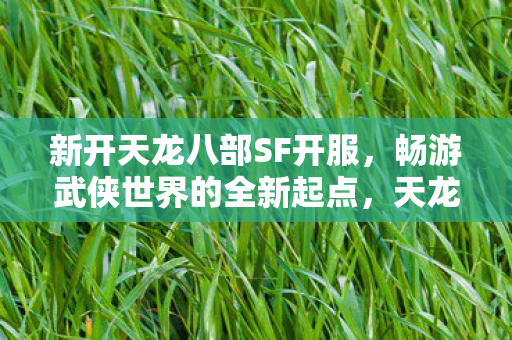 新开天龙八部SF开服,畅游武侠世界的全新起点,天龙八部新开私服,开启武侠冒险新篇章 新开天龙八部SF开服,畅游武侠世界的全新起点,天龙八部新开私服,开启武侠冒险新篇章