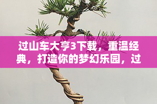 过山车大亨3下载，重温经典，打造你的梦幻乐园，过山车大亨3下载，重温经典，打造梦幻乐园