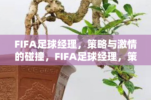 FIFA足球经理,策略与激情的碰撞,FIFA足球经理,策略与激情的碰撞 FIFA足球经理,策略与激情的碰撞,FIFA足球经理,策略与激情的碰撞