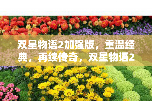 双星物语2加强版，重温经典，再续传奇，双星物语2加强版，重温经典，再续传奇