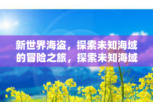 新世界海盗,探索未知海域的冒险之旅,探索未知海域,新世界海盗的冒险之旅 新世界海盗,探索未知海域的冒险之旅,探索未知海域,新世界海盗的冒险之旅