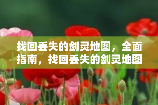 找回丢失的剑灵地图图片