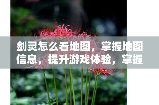 提升游戏体验全攻略图片