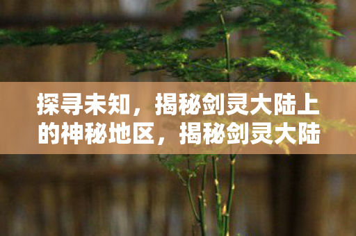 揭秘剑灵大陆上的神秘地区图片