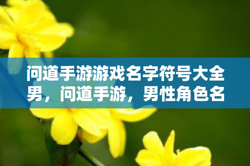 问道手游游戏名字符号大全男图片