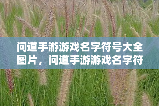 问道手游游戏名字符号大全图片图片