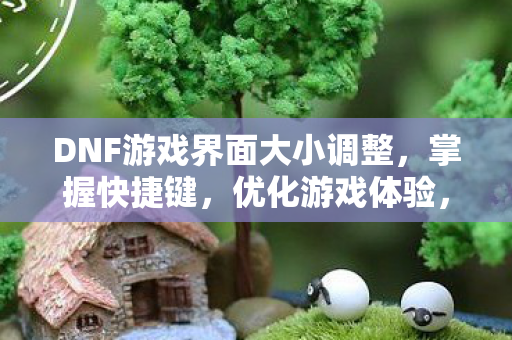 DNF游戏界面大小调整图片