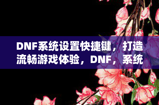 DNF系统设置快捷键图片