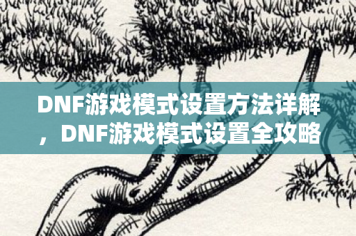 DNF游戏模式设置方法详解图片