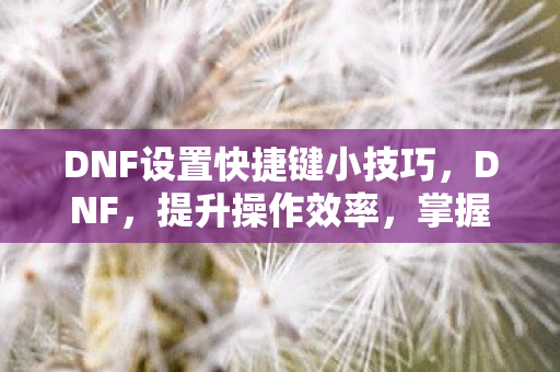 掌握这些快捷键设置小技巧图片