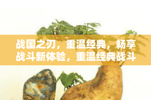 战国之刃，重温经典，畅享战斗新体验，重温经典战斗，战国之刃新体验