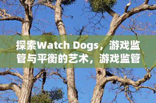 探索Watch Dogs,游戏监管与平衡的艺术,游戏监管与平衡的艺术,探索Watch Dogs 探索Watch Dogs,游戏监管与平衡的艺术,游戏监管与平衡的艺术,探索Watch Dogs