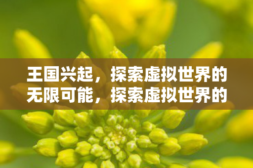 王国兴起,探索虚拟世界的无限可能,探索虚拟世界的无限可能,王国兴起 王国兴起,探索虚拟世界的无限可能,探索虚拟世界的无限可能,王国兴起