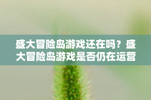 盛大冒险岛游戏是否仍在运营图片