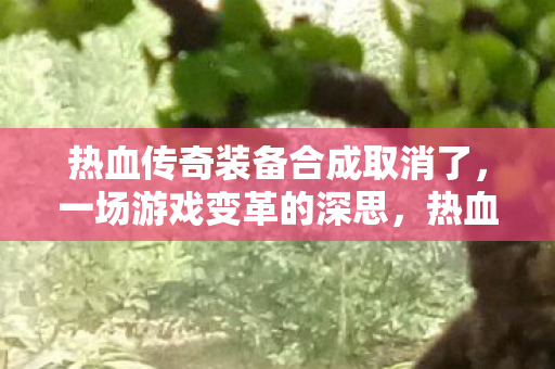 热血传奇装备合成取消了,一场游戏变革的深思,热血传奇装备合成取消,游戏变革的深思 热血传奇装备合成取消了,一场游戏变革的深思,热血传奇装备合成取消,游戏变革的深思
