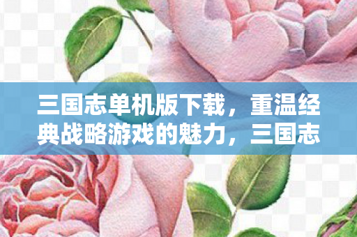 三国志单机版下载,重温经典战略游戏的魅力,三国志单机版下载,重温经典战略游戏魅力 三国志单机版下载,重温经典战略游戏的魅力,三国志单机版下载,重温经典战略游戏魅力