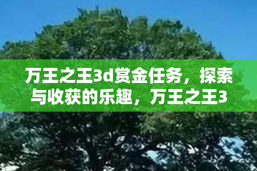 万王之王3d赏金任务,探索与收获的乐趣,万王之王3D,赏金任务探索与收获的乐趣 万王之王3d赏金任务,探索与收获的乐趣,万王之王3D,赏金任务探索与收获的乐趣