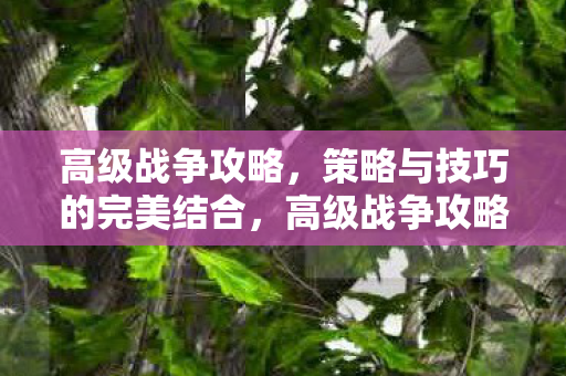 高级战争攻略,策略与技巧的完美结合,高级战争攻略,策略与技巧的完美结合 高级战争攻略,策略与技巧的完美结合,高级战争攻略,策略与技巧的完美结合