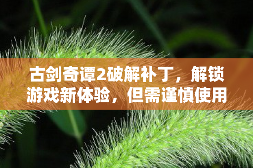 古剑奇谭2破解补丁,解锁游戏新体验,但需谨慎使用,古剑奇谭2破解补丁,解锁新体验,使用需谨慎 古剑奇谭2破解补丁,解锁游戏新体验,但需谨慎使用,古剑奇谭2破解补丁,解锁新体验,使用需谨慎