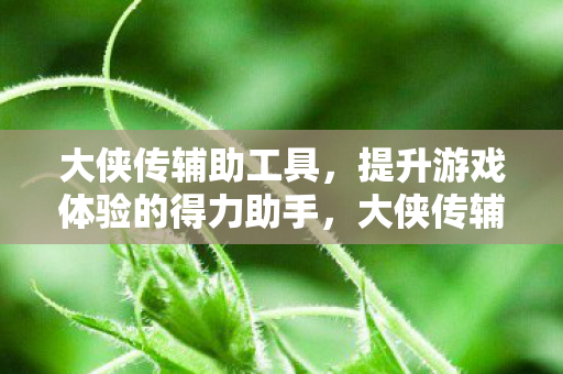 大侠传辅助工具,提升游戏体验的得力助手,大侠传辅助工具,提升游戏体验的得力助手 大侠传辅助工具,提升游戏体验的得力助手,大侠传辅助工具,提升游戏体验的得力助手