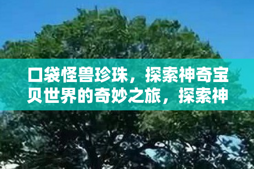 口袋怪兽珍珠,探索神奇宝贝世界的奇妙之旅,探索神奇宝贝世界的奇妙之旅,口袋怪兽珍珠 口袋怪兽珍珠,探索神奇宝贝世界的奇妙之旅,探索神奇宝贝世界的奇妙之旅,口袋怪兽珍珠