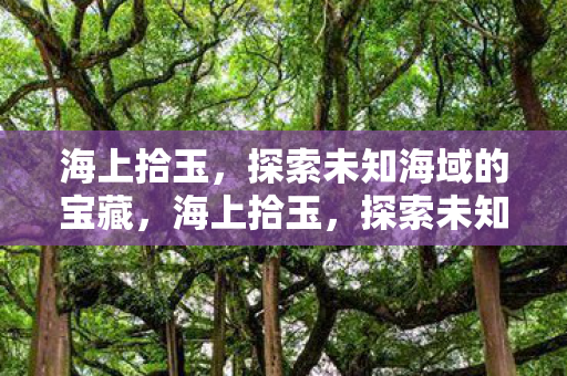 海上拾玉,探索未知海域的宝藏,海上拾玉,探索未知海域的宝藏之旅 海上拾玉,探索未知海域的宝藏,海上拾玉,探索未知海域的宝藏之旅