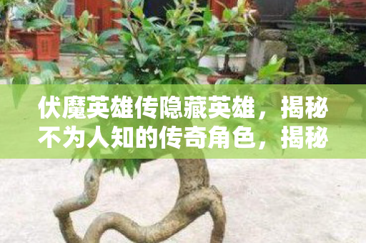 伏魔英雄传隐藏英雄,揭秘不为人知的传奇角色,揭秘伏魔英雄传隐藏英雄,传奇角色背后的故事 伏魔英雄传隐藏英雄,揭秘不为人知的传奇角色,揭秘伏魔英雄传隐藏英雄,传奇角色背后的故事