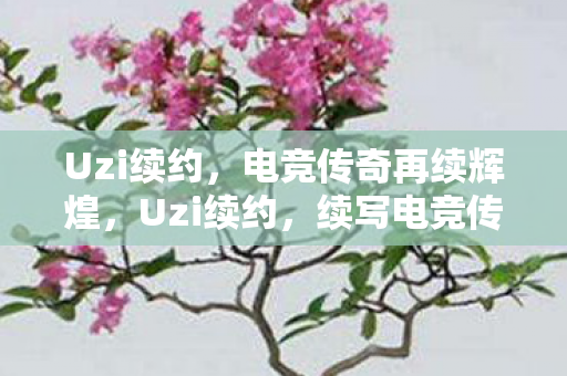 续写电竞传奇新篇章图片