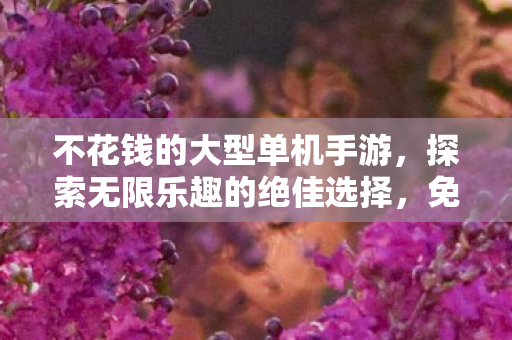 不花钱的大型单机手游,探索无限乐趣的绝佳选择,免费大型单机手游,探索无限乐趣的绝佳选择 不花钱的大型单机手游,探索无限乐趣的绝佳选择,免费大型单机手游,探索无限乐趣的绝佳选择