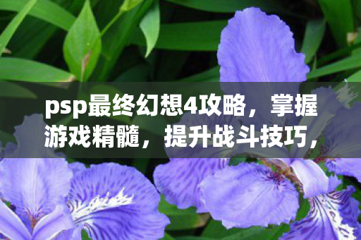 psp最终幻想4攻略,掌握游戏精髓,提升战斗技巧,PSP最终幻想4攻略,掌握游戏精髓,提升战斗技巧 psp最终幻想4攻略,掌握游戏精髓,提升战斗技巧,PSP最终幻想4攻略,掌握游戏精髓,提升战斗技巧