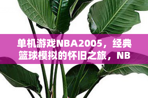单机游戏NBA2005,经典篮球模拟的怀旧之旅,NBA2005,经典篮球模拟的怀旧之旅 单机游戏NBA2005,经典篮球模拟的怀旧之旅,NBA2005,经典篮球模拟的怀旧之旅