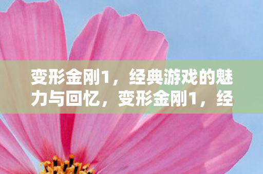变形金刚1，经典游戏的魅力与回忆，变形金刚1，经典游戏的永恒魅力与回忆