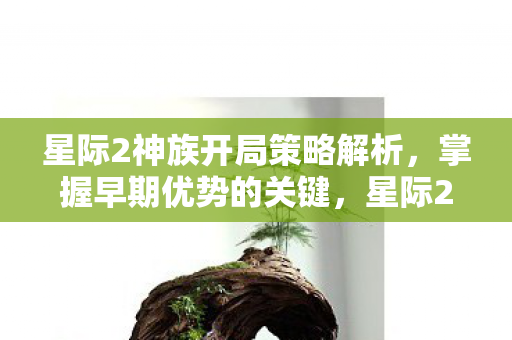 星际2神族开局策略解析,掌握早期优势的关键,星际2神族开局策略,掌握早期优势的关键 星际2神族开局策略解析,掌握早期优势的关键,星际2神族开局策略,掌握早期优势的关键