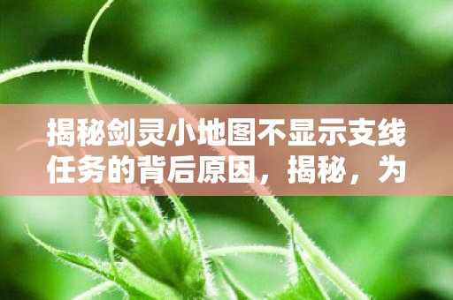 揭秘剑灵小地图不显示支线任务的背后原因图片