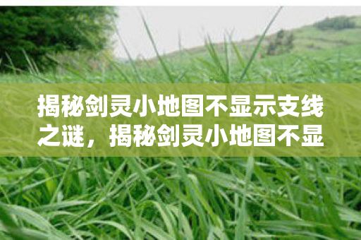 揭秘剑灵小地图不显示支线之谜图片