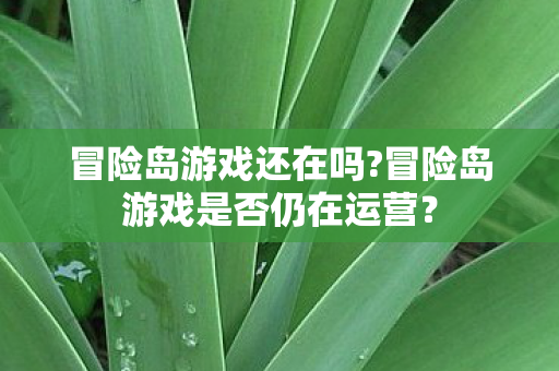 冒险岛游戏是否仍在运营图片