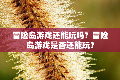 冒险岛游戏是否还能玩图片