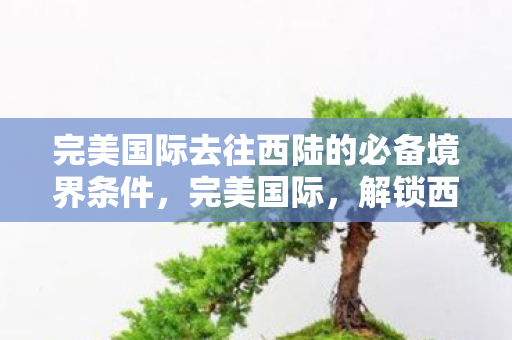 完美国际去往西陆的必备境界条件图片