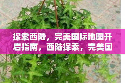 完美国际地图开启指南图片