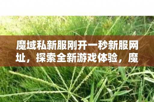 魔域私新服刚开一秒新服网址,探索全新游戏体验,魔域私服新服开启,探索全新游戏体验 魔域私新服刚开一秒新服网址,探索全新游戏体验,魔域私服新服开启,探索全新游戏体验