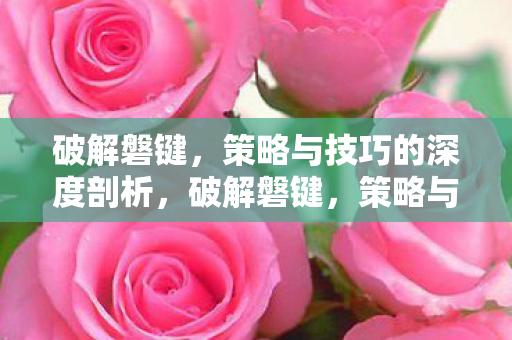 策略与技巧的深度剖析图片