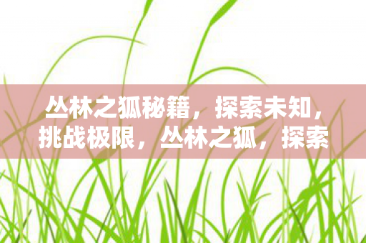 挑战极限的冒险秘籍图片