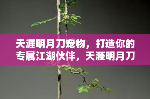 打造你的专属江湖伙伴图片