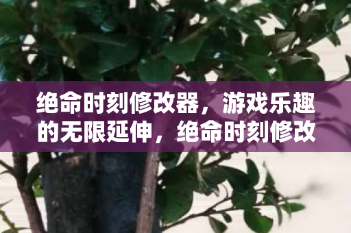 绝命时刻修改器,游戏乐趣的无限延伸,绝命时刻修改器,延伸游戏乐趣的神奇工具 绝命时刻修改器,游戏乐趣的无限延伸,绝命时刻修改器,延伸游戏乐趣的神奇工具