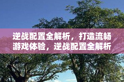 逆战配置全解析,打造流畅游戏体验,逆战配置全解析,打造流畅游戏体验 逆战配置全解析,打造流畅游戏体验,逆战配置全解析,打造流畅游戏体验
