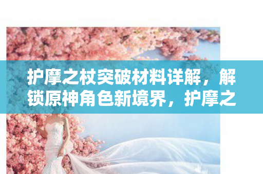 护摩之杖突破材料全解析图片