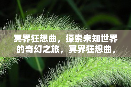 冥界狂想曲，探索未知世界的奇幻之旅，冥界狂想曲，奇幻之旅，探索未知世界