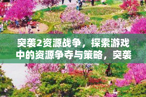 突袭2资源战争,探索游戏中的资源争夺与策略,突袭2,资源战争中的资源争夺与策略探索 突袭2资源战争,探索游戏中的资源争夺与策略,突袭2,资源战争中的资源争夺与策略探索